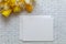 White card mockup flat lay simple clean for Spring, Nursery, Art, Wedding, Party, Mother`s Day, Sale