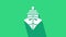 White Cargo ship icon isolated on green background. 4K Video motion graphic animation