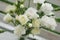 White Carnation Dianthus Flower Bouquet Bloom Summer Time .