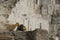 White Carrara marble quarry in Tuscany. Mountains of the Apuan Alps, blue sky and a mechanical excavator