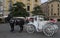 A white carriage and black harnessed horses await tourists in the center of Krakow.