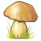 White cartoon mushroom boletus. Vector colorful illustration