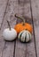 White Casper pumpkin next to an orange pumpkin and green and white gourd