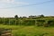 WHITE CASTLE, vineyard in Abergavenny, Wales UK