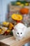 White cat on the background of pieces of pumpkin