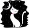 White cat on a black night sky, the stars and the moon