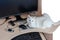 A white cat with blue eyes occupies the table