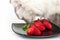 White cat carefully eats red strawberry