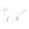 White cat cartoon vector on white background