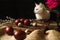 White cat, easter red eggs, quail eggs, flowers on a brown wooden board 4