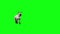 White cat feline walks front animals green screen 3D rendering animation