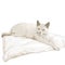 a white cat laying on top of a white pillow on a bed