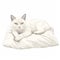 a white cat is laying on a white pillow on a white background