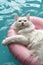 White cat lounging on a pink float in a pool.