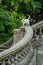 White cat on old style stair handle