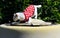 White cat with red suit relax on water tank with green garden