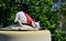 White cat with red suit relax on water tank with green garden