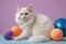 white cat sits with balls on a light pastel background. Toys for cats. The cat is a football player. Playground AI