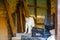 White cat standing on a wooden surface near empty boxes