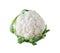 White Cauliflower