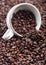 White ceramic cup with coffee beans inside fresh aroma roasted coffee beans background