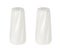 White ceramic salt and pepper shakers