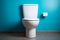 White ceramic toilet against a blue wall forms a clean and refreshing bathroom