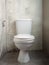 White ceramic Toilet bowl  with close toilet lid seat  and bidet shower in grey concrete wall and floor bathroom