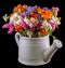 White ceramic watercan, sprinkler, with vivid colored flowers, orange tagetes, purple wild flowers, close up