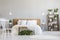 White chair near bed with wooden headboard in bright bedroom int