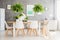 White chairs in dining room