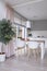 White chairs at table in modern dining room interior with plant and pink drapes. Real photo