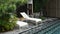 White chaise lounge on timber deck next to mosiac pool surround by green plants