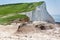 White chalk cliffs in Seaford Head, East Sussex, UK