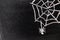 White chalk hand drawing in cobweb with spider shape on blackboard background