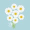 White chamomile bouquet