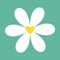 White chamomile daisy icon. Cute flower plant collection. Valentines day. Yellow heart center. Love card. Camomile Growing concept