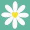 White chamomile daisy icon. Cute flower plant collection. Yellow heart center. Valentines day Love card. Camomile Growing concept