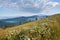 White chamomile flowers on the meadow, foggy mountains and spruce forest under blue sky with clouds. Ukraine, Carpathians