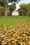 White chapel in the autumn