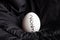 A white chicken egg with the text 2023 lies on a black background, year 2023