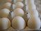 White chicken eggs in a special container. natural food. health food.