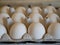 White chicken eggs in a special container. natural food. health food.