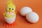 White chicken eggs and a toy chicken next to them. A yellow toy chicken hatched from a toy white egg. The concept of the Easter