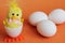 White chicken eggs and a toy chicken next to them. A yellow toy chicken hatched from a toy white egg. The concept of the Easter