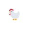 White chicken icon illustration emoji