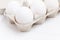 White chiken eggs on white wood background