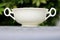 White china double handled sugar bowl standing on table in garden with copyspace