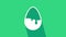 White Chocolate egg icon isolated on green background. 4K Video motion graphic animation