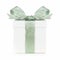 White Christmas gift box wrapped with frosty green bow and ribbon isolated on white